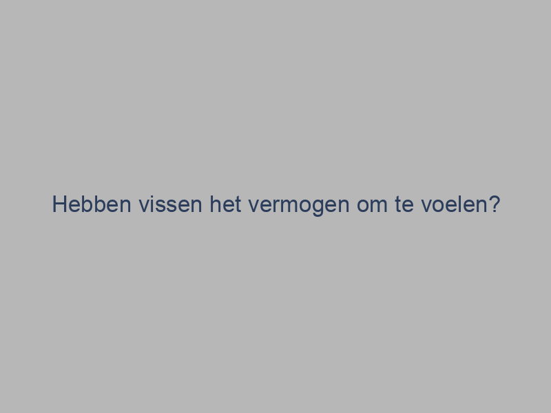 Hebben vissen het vermogen om te voelen?