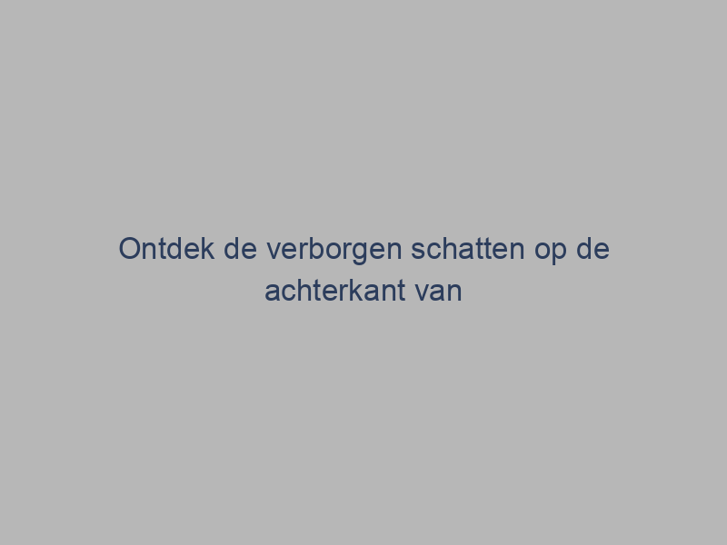 Ontdek de verborgen schatten op de achterkant van een boek – een kijkje achter de schermen van de literaire wereld!